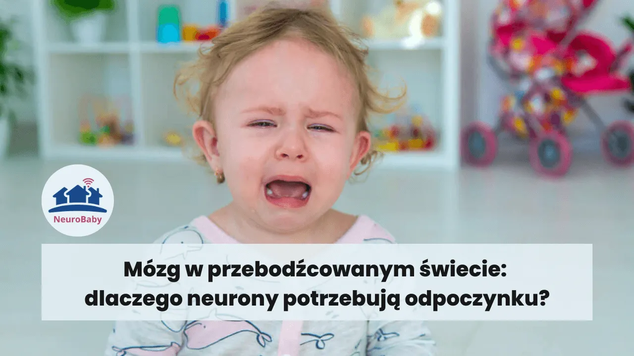 Bonus webinar o przebodźcowaniu